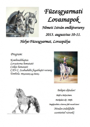 Füzesgyarmati Lovasnapok - 2013. augusztus 10-11.